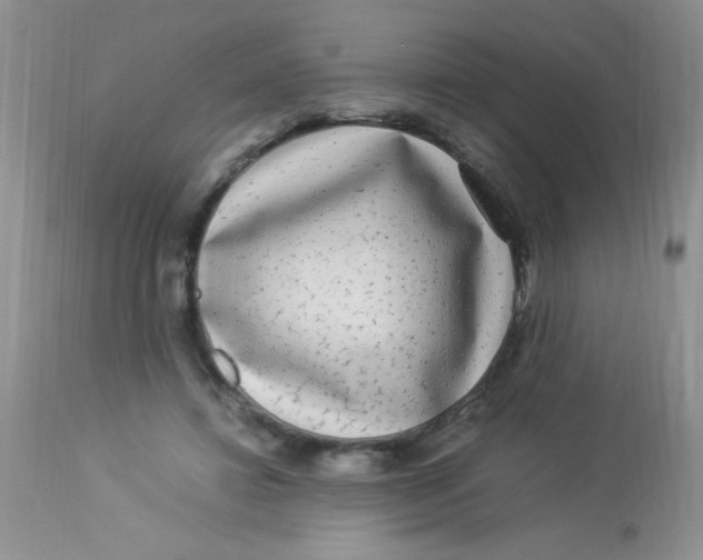 X0000112900452200909181939