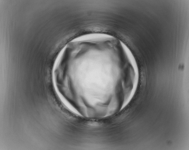 X0000112900453200909181939