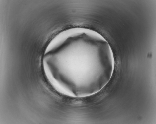 X0000112900454200909181939