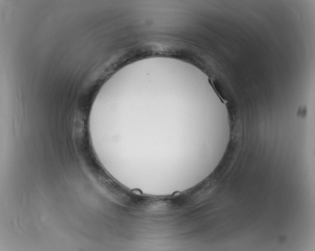 X0000112900456200909181939