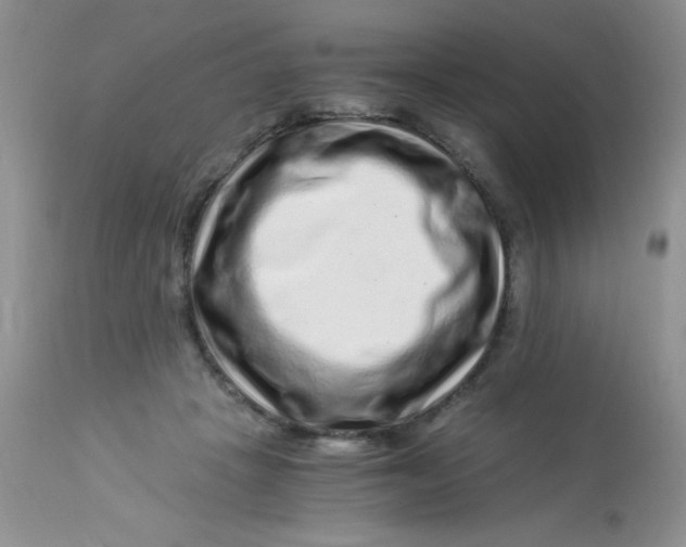 X0000112900457200909181939