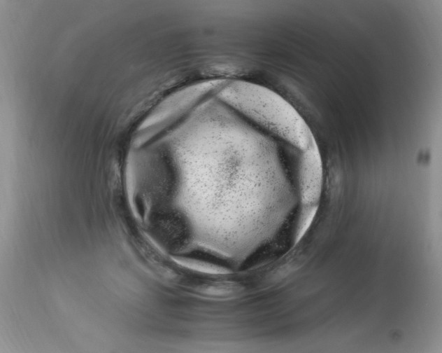 X0000112900459200909181939