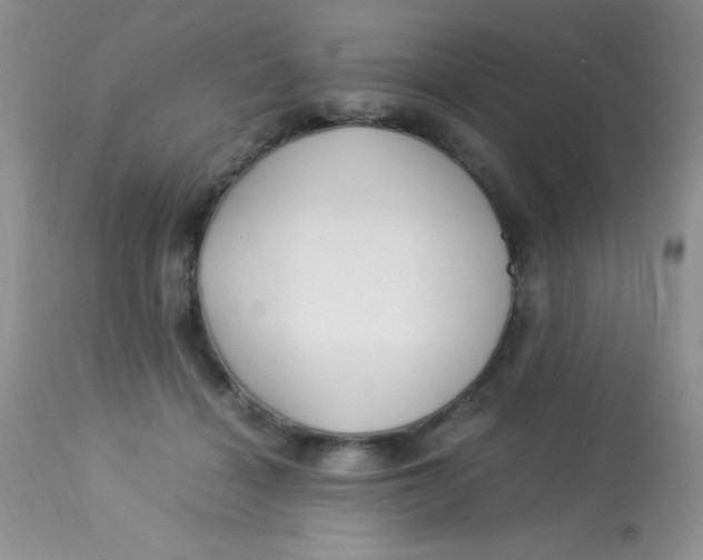 X0000112900460200909181939