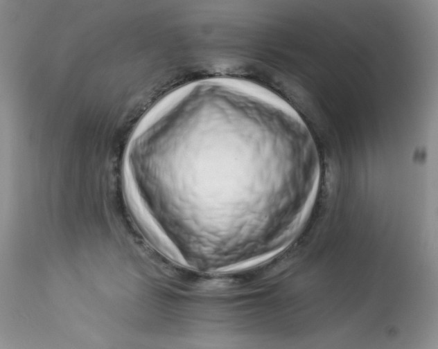 X0000112900461200909181939