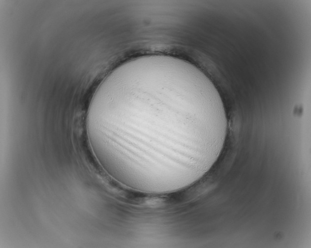 X0000112900462200909181939