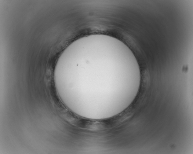 X0000112900463200909181939