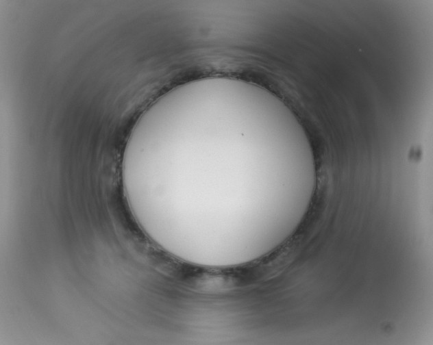 X0000112900464200909181939