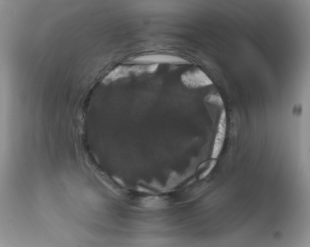 X0000112900465200909181939