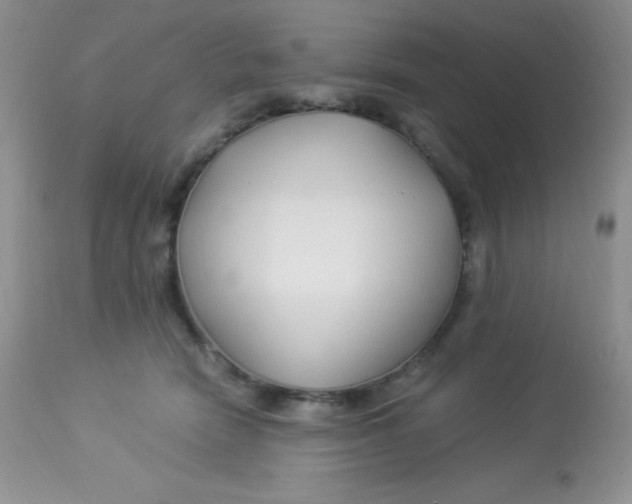 X0000112900466200909181939