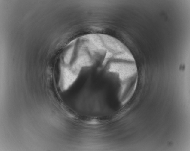 X0000112900467200909181939