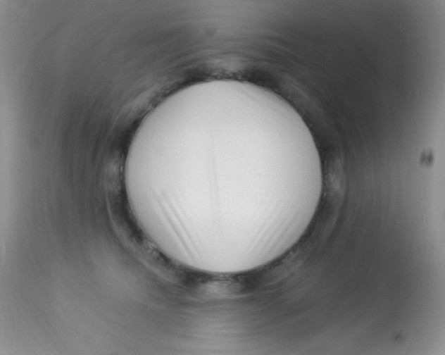 X0000112900468200909181940