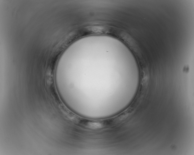 X0000112900469200909181940
