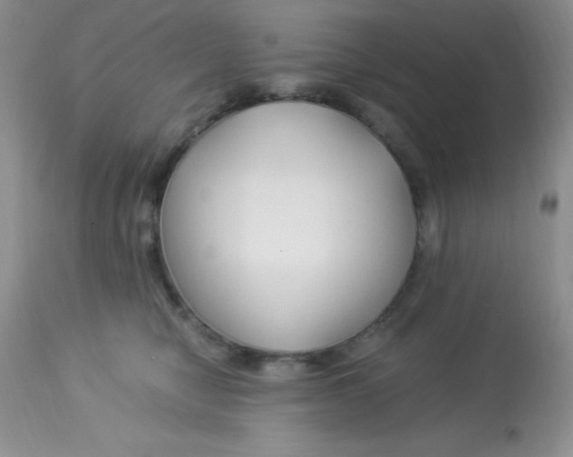 X0000112900470200909181940
