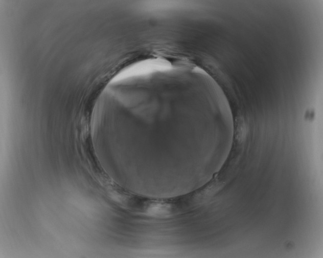 X0000112900471200909181940