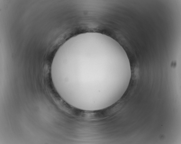 X0000112900472200909181940