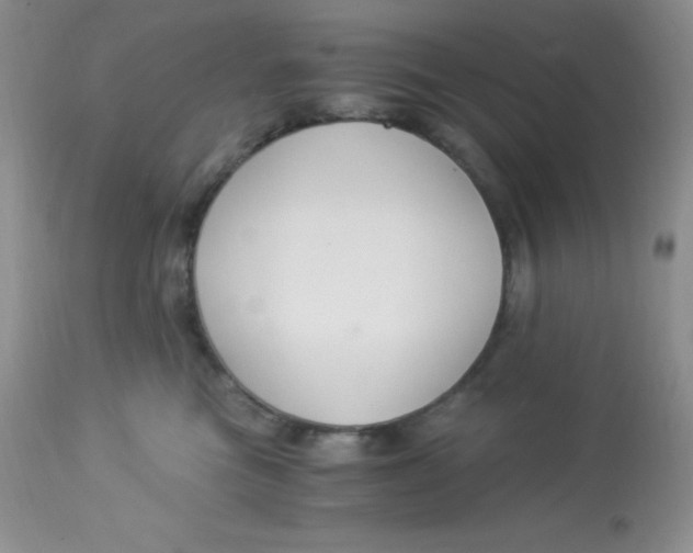 X0000112900473200909181940