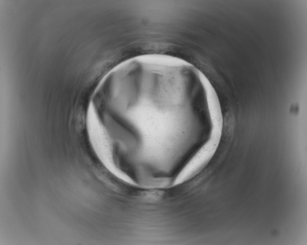 X0000112900474200909181940