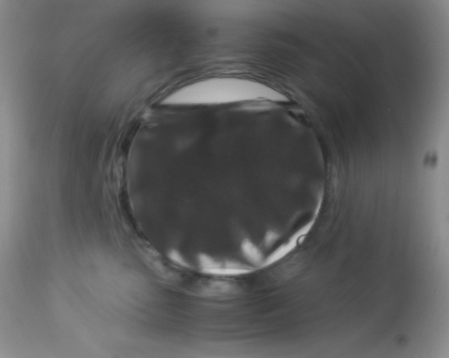 X0000112900475200909181940