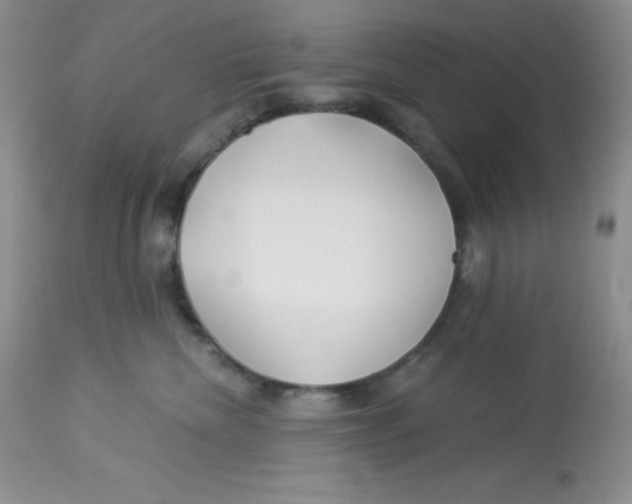 X0000112900476200909181940