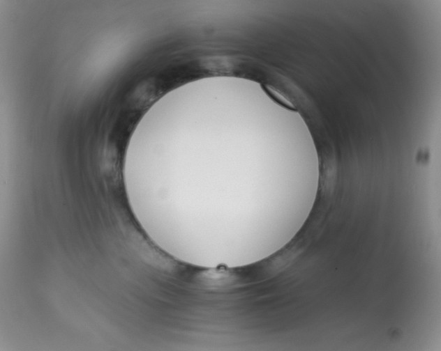 X0000112900477200909181940