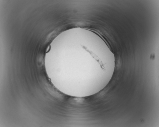 X0000112900478200909181940