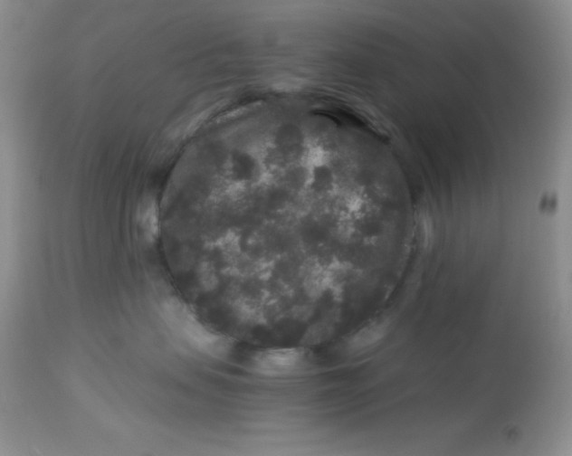 X0000112900479200909181940