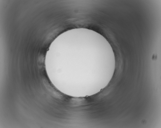 X0000112900480200909181940