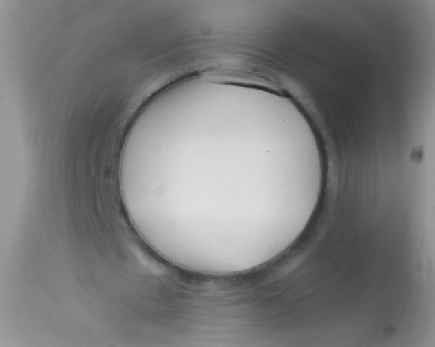X0000112900481200909181939
