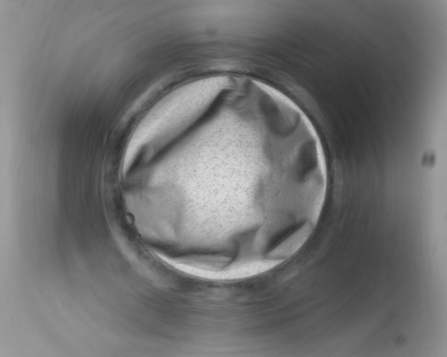 X0000112900482200909181939