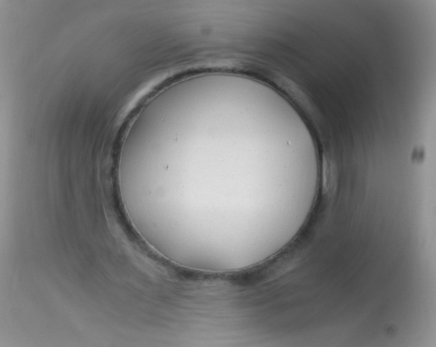 X0000112900483200909181939