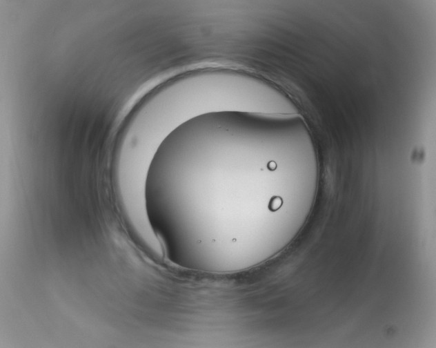 X0000112900484200909181939