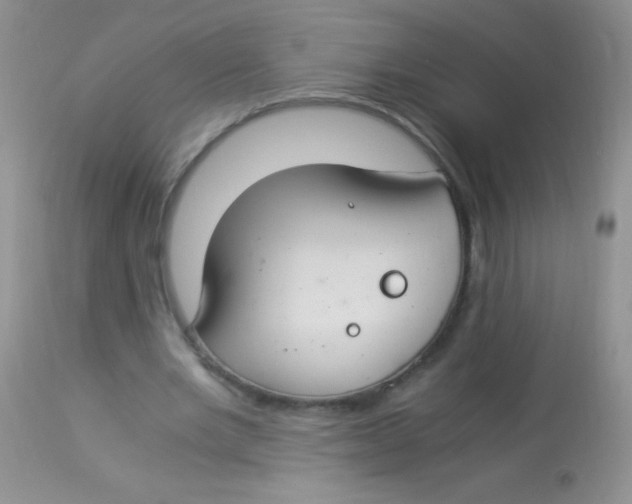 X0000112900485200909181939