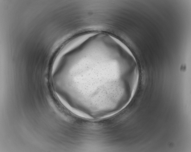 X0000112900486200909181939