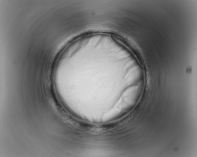 X0000112900487200909181939