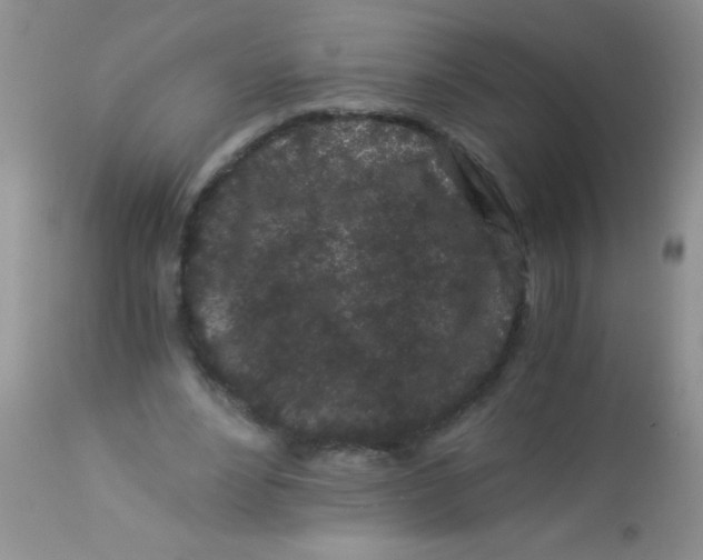 X0000112900488200909181939