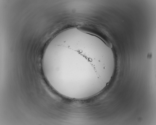 X0000112900489200909181939