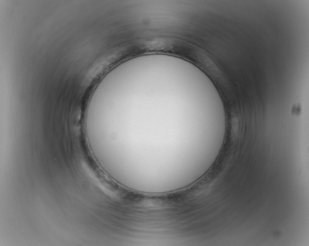 X0000112900490200909181939