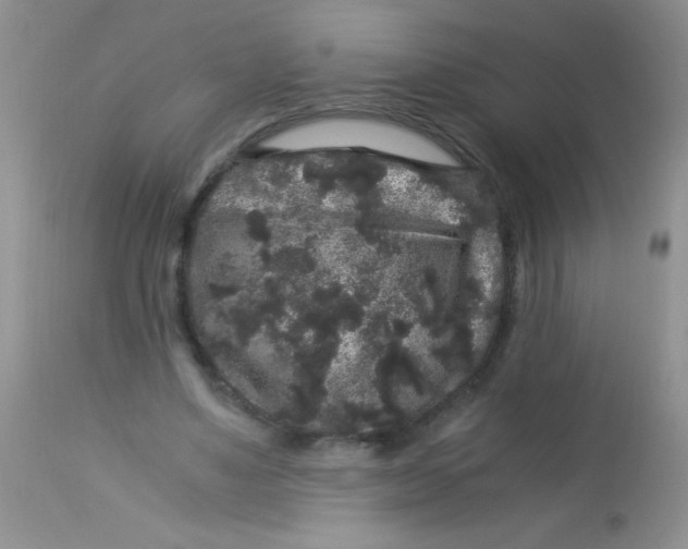 X0000112900491200909181939