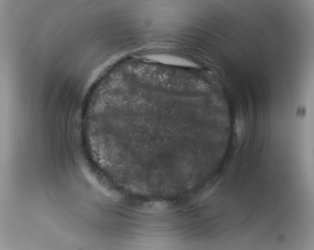X0000112900492200909181939