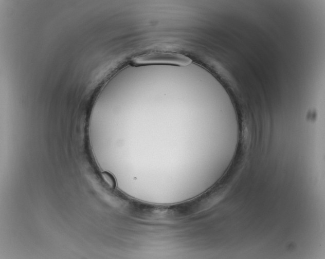 X0000112900493200909181939