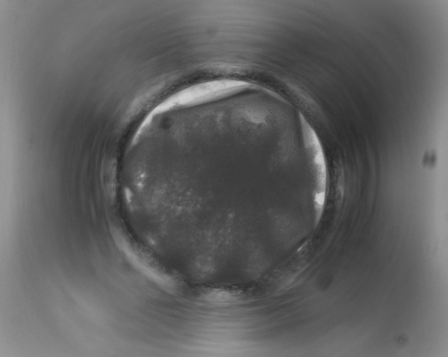 X0000112900494200909181939