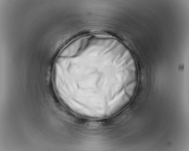 X0000112900495200909181939