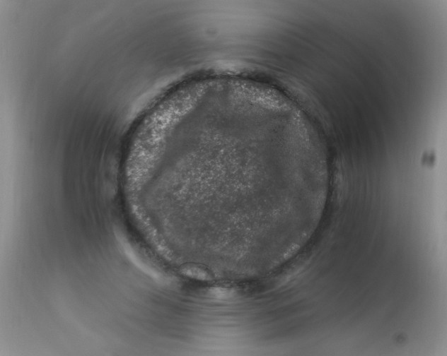 X0000112900496200909181939