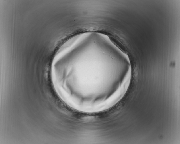 X0000112900499200909181939