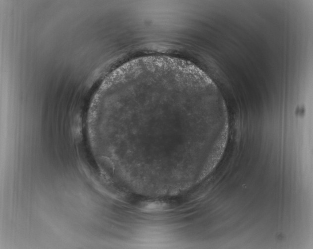 X0000112900500200909181939