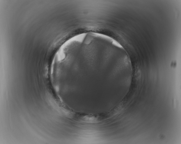 X0000112900502200909181939