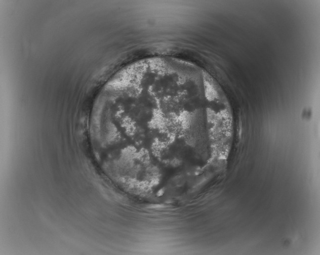 X0000112900503200909181939