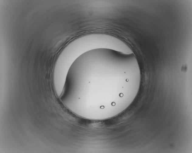 X0000112900505200909181939