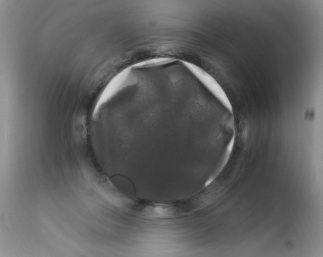 X0000112900506200909181939