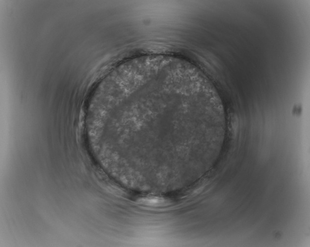 X0000112900507200909181939